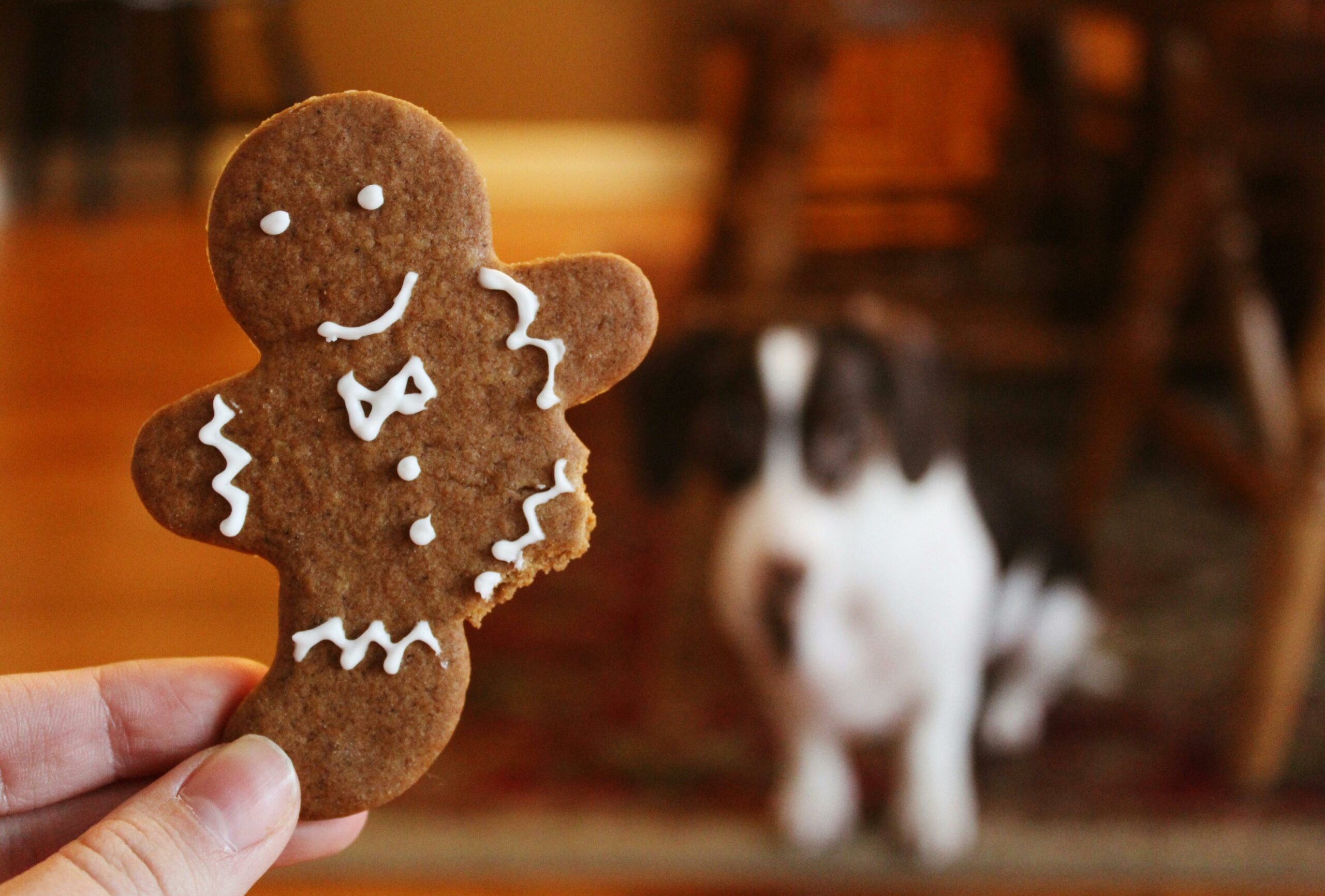 Nahaufnahme Fotografie Von Lebkuchen