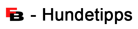fb-hundetipps.de