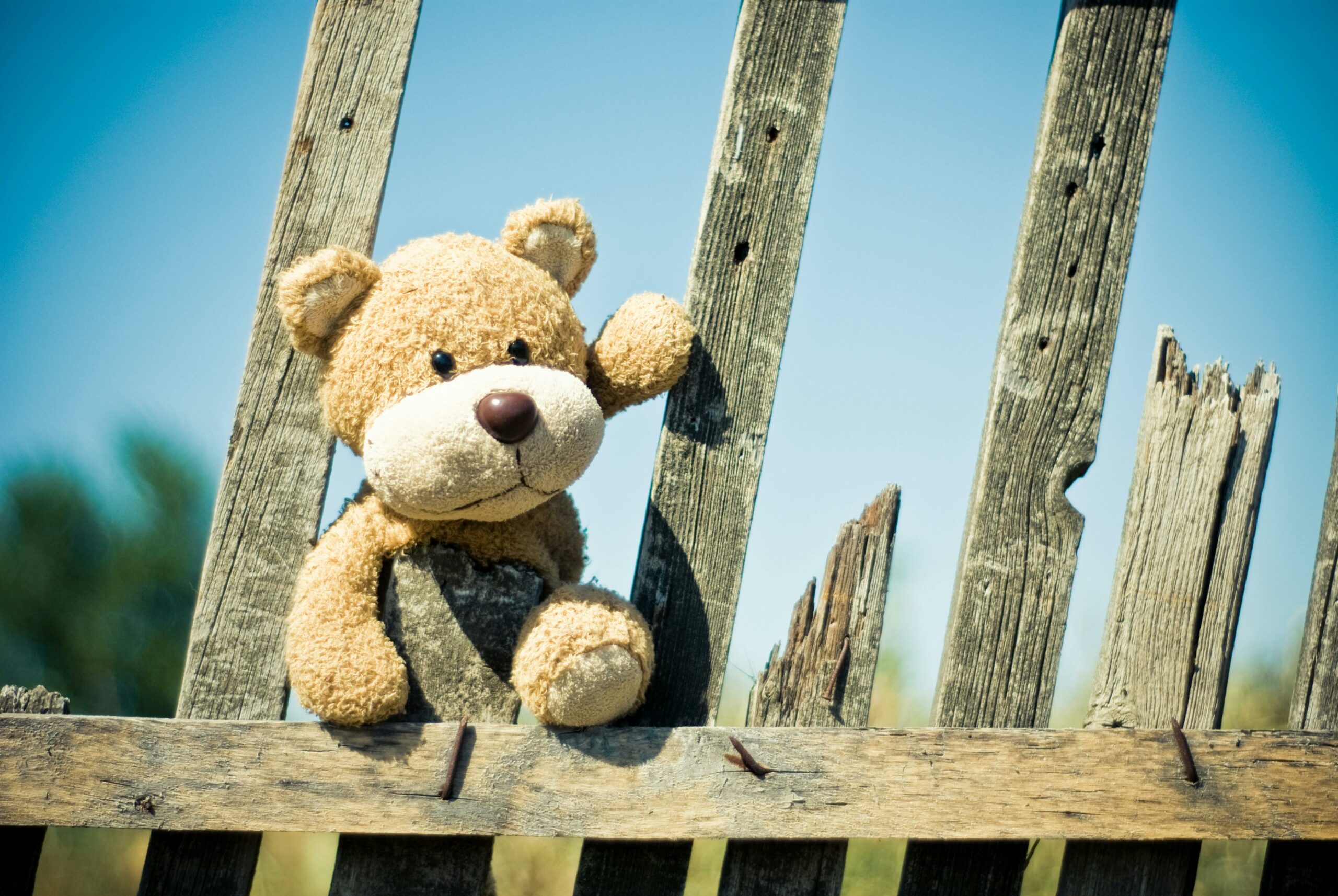 Brauner Teddybär Auf Braunem Holzzaun