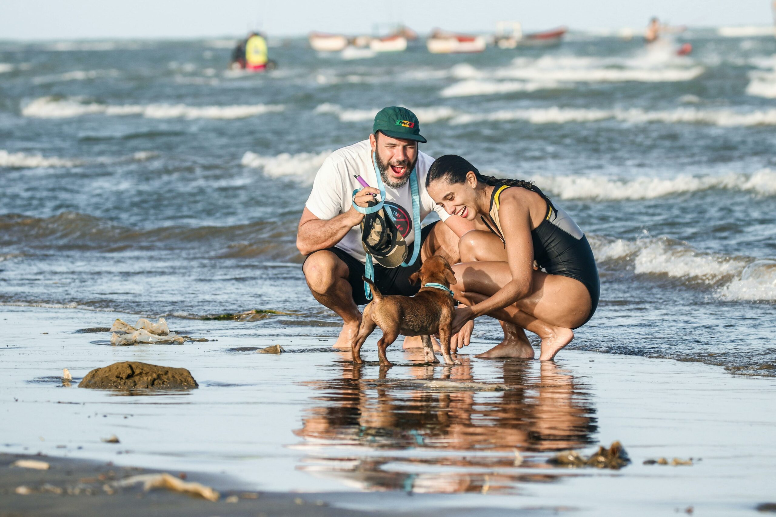 Mehr über den Artikel erfahren Urlaub mit dem Hund: Gemeinsam Entdecken und Entspannen