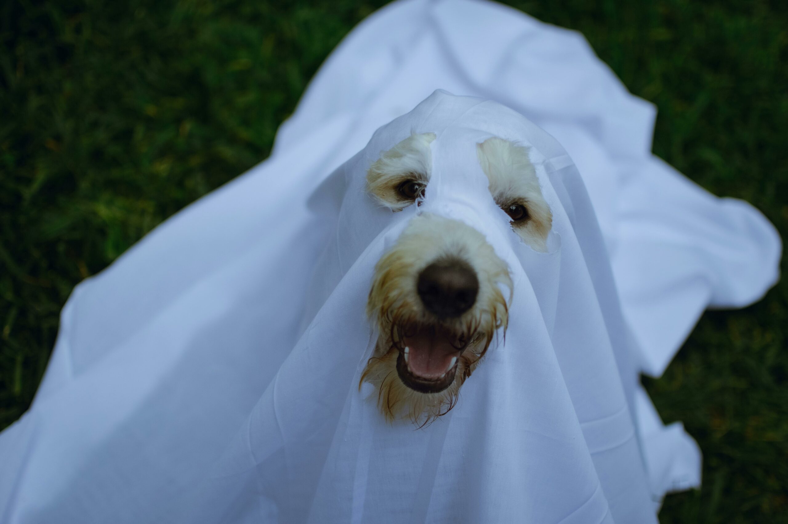 Fantasma