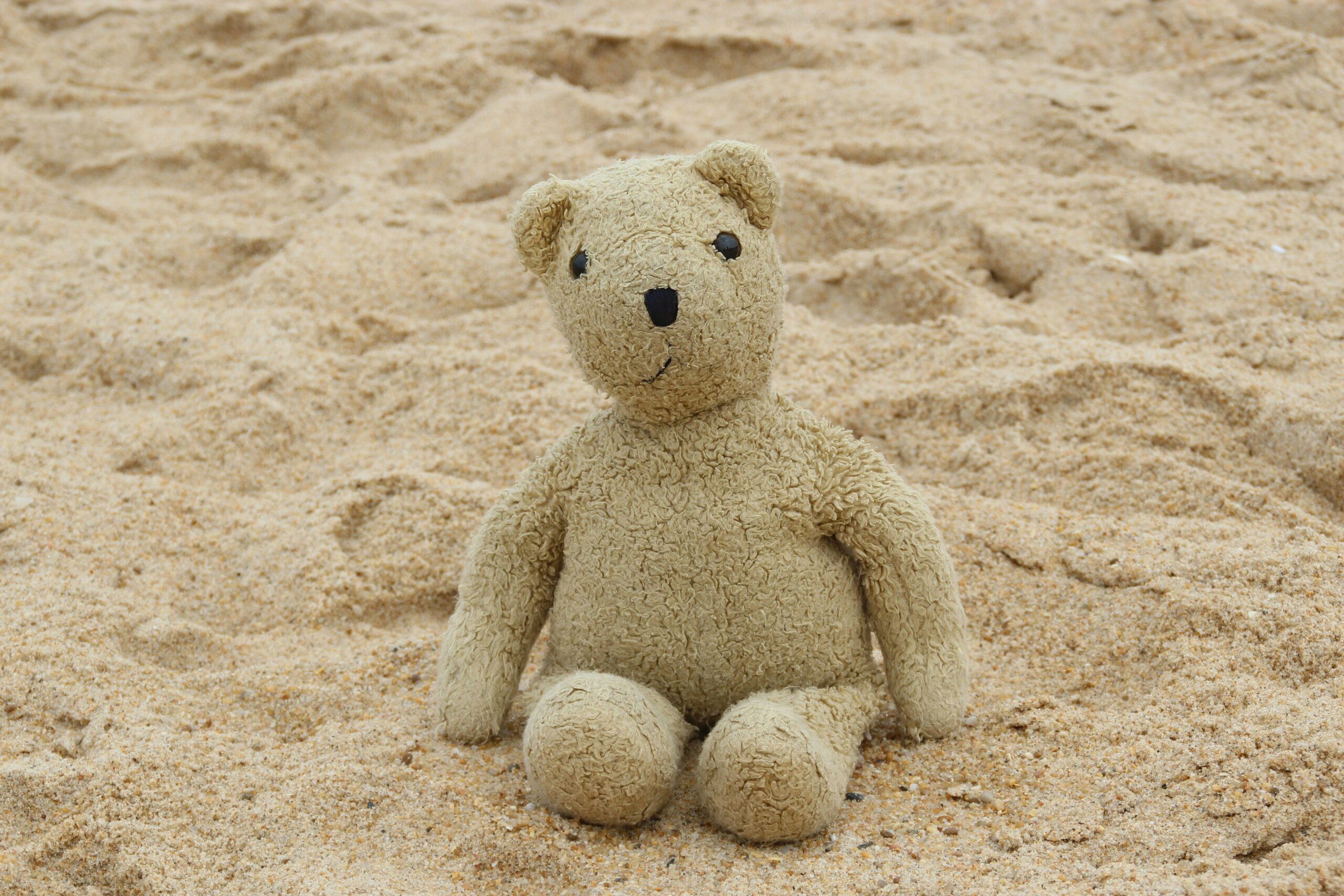 Kostenloses Stock Foto zu ausgestopftes tier, bÃ¤ren, beige