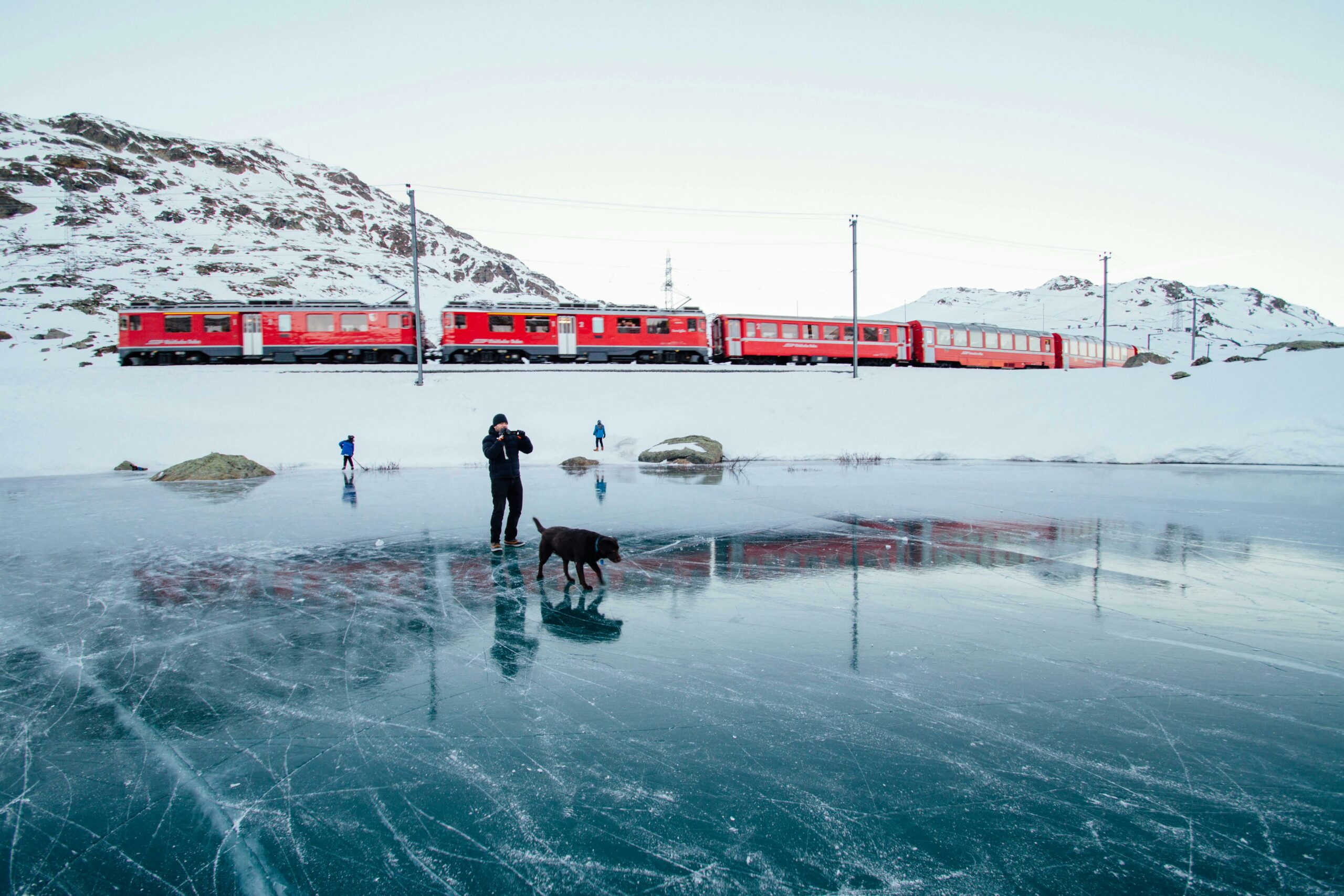 Mehr über den Artikel erfahren Urlaub mit Hund: Die besten Seen für ein unvergessliches Abenteuer