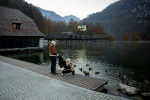 Mehr über den Artikel erfahren Proteine: Die Bausteine einer gesunden Haustierernährung