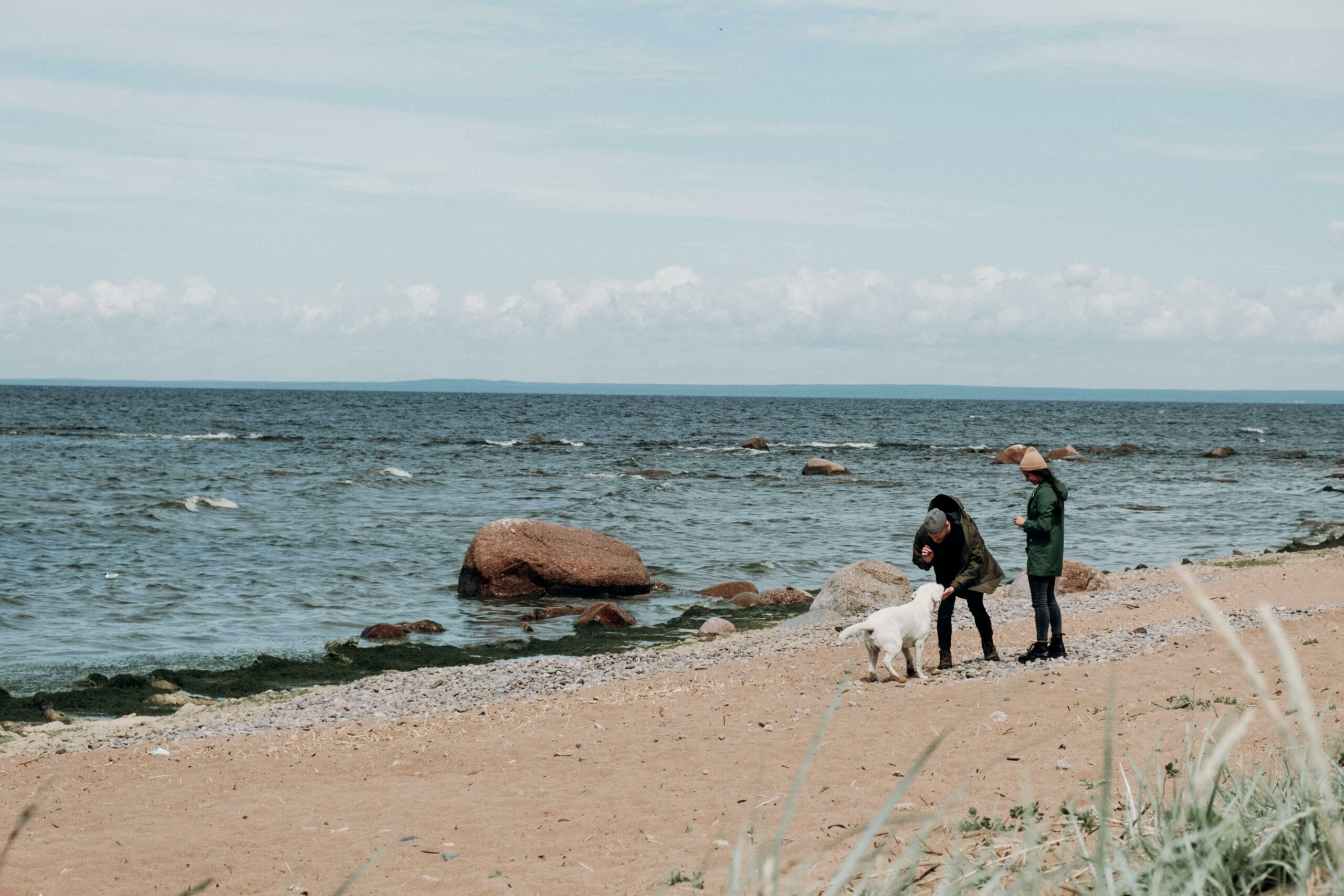 Ein Paar Und Ihr Hund Am Strand