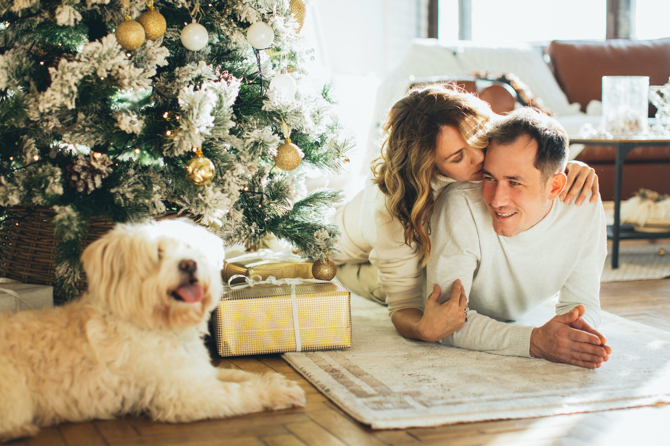 Kostenloses Stock Foto zu #indoor, begleiter, familie