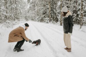Mehr über den Artikel erfahren Flugreise mit Hund: Gesundheitscheck, Transport und Tipps für einen stressfreien Flug