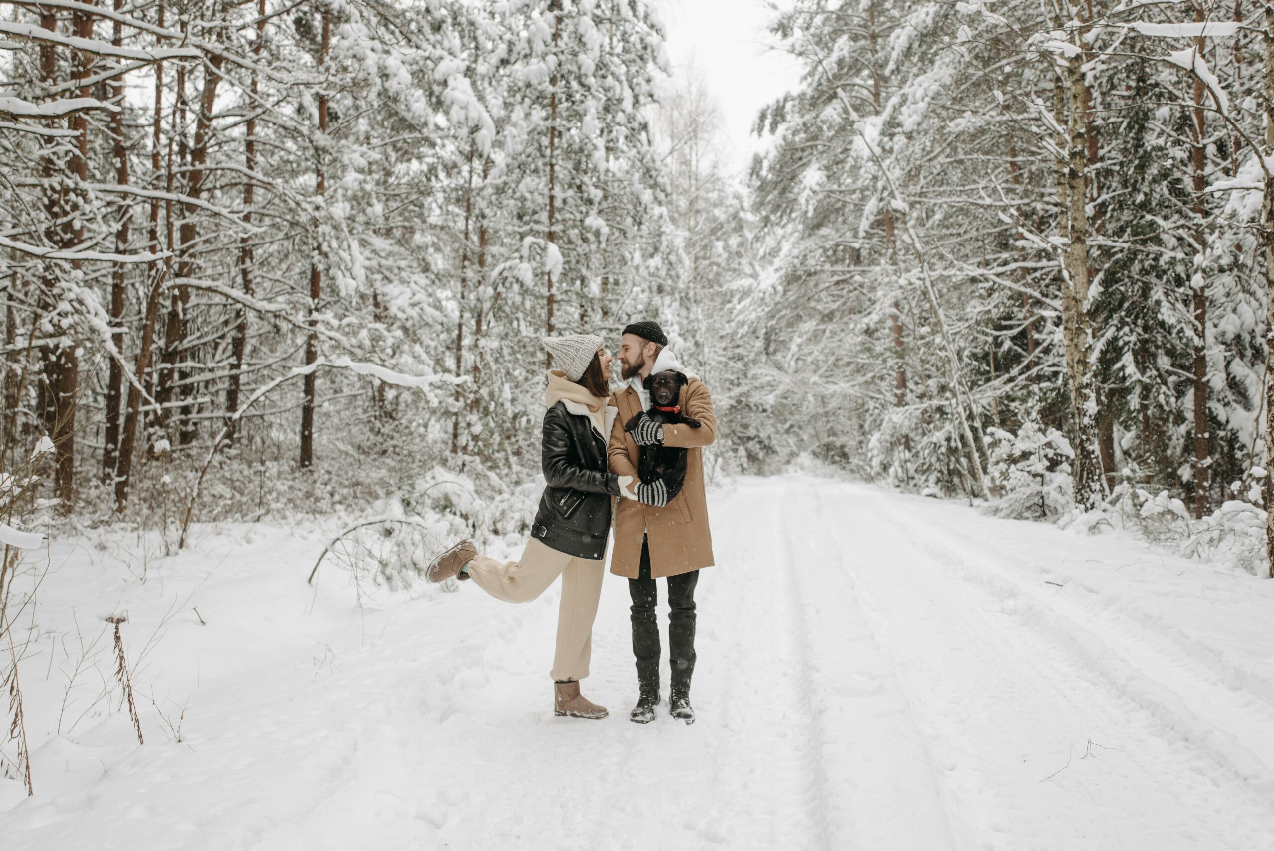 Kostenloses Stock Foto zu abenteuer, aktiv, bäume