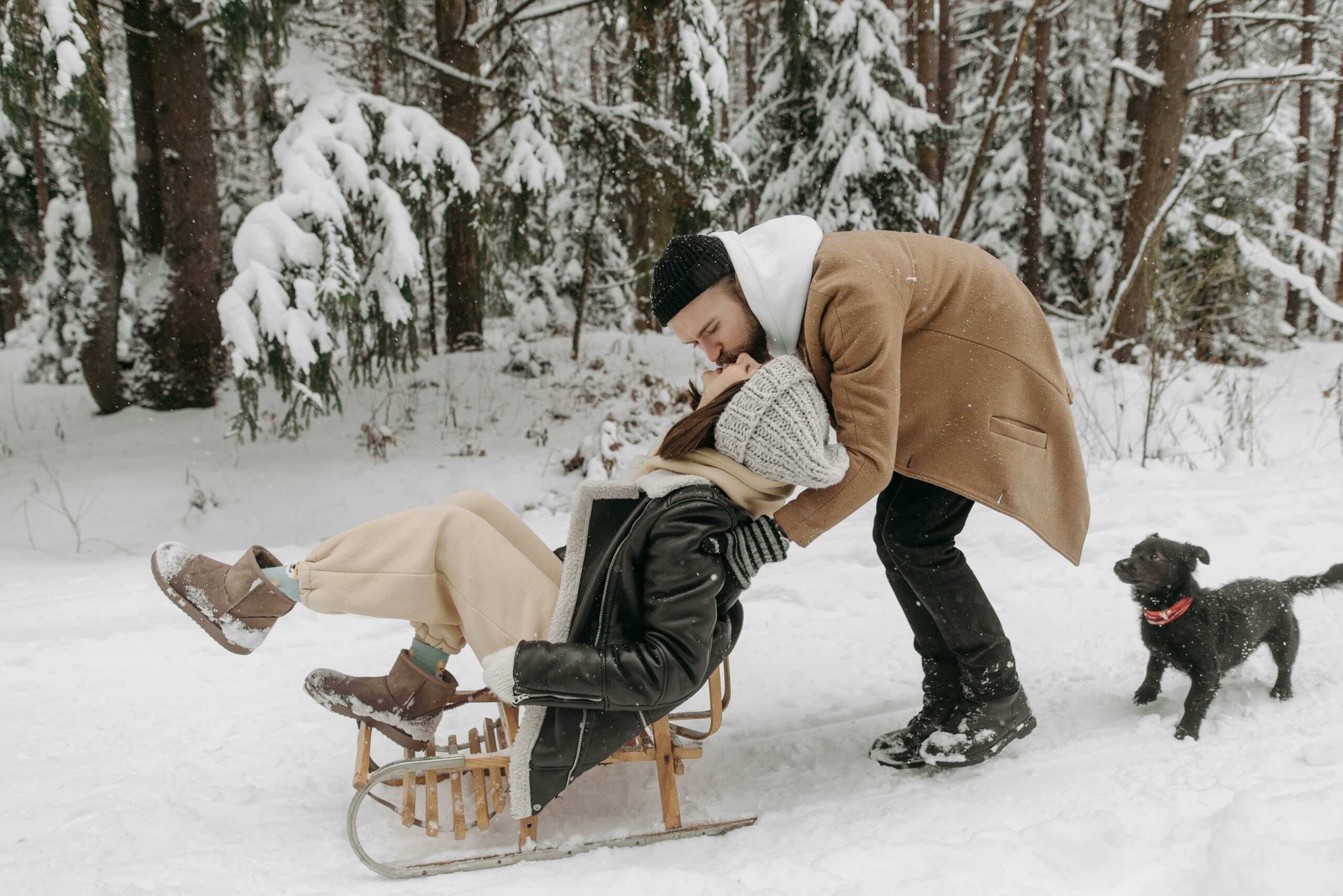 Kostenloses Stock Foto zu abenteuer, b&auml;ume, beziehung