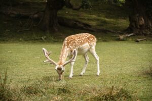 Mehr über den Artikel erfahren Grundlagen der Ernährung: Nährstoffe und ihre Bedeutung