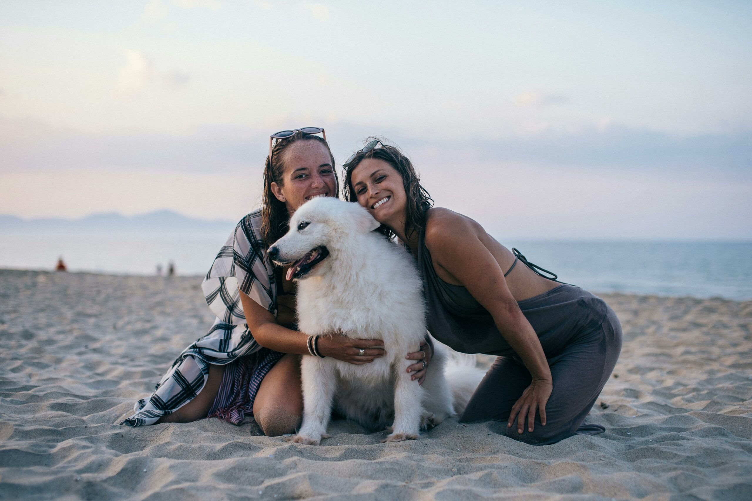 Mehr über den Artikel erfahren Hundepensionen: Der beste Ort für Ihren Hund im Urlaub