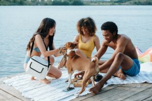 Mehr über den Artikel erfahren Urlaub mit Hund: Die besten hundegerechten Reiseziele in Deutschland